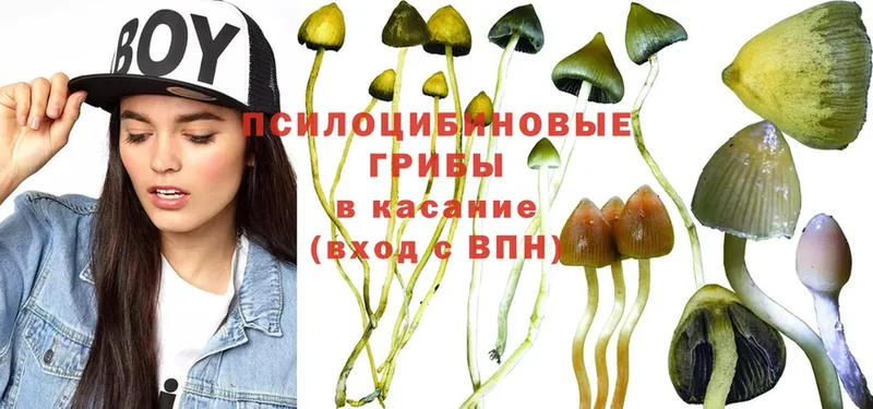 цена   Луза  МЕГА как зайти  Галлюциногенные грибы Magic Shrooms 